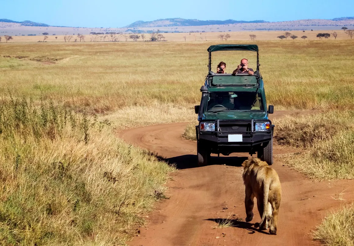 Masai Mara Experience image