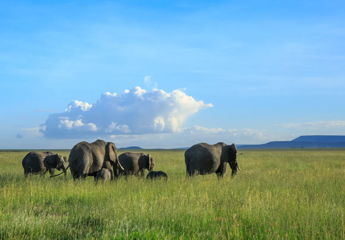 Zambia Activities image