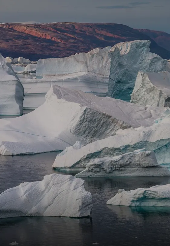 Arctic Card image