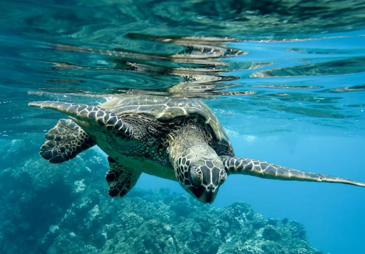 Ecuador & Galapagos Activities Image