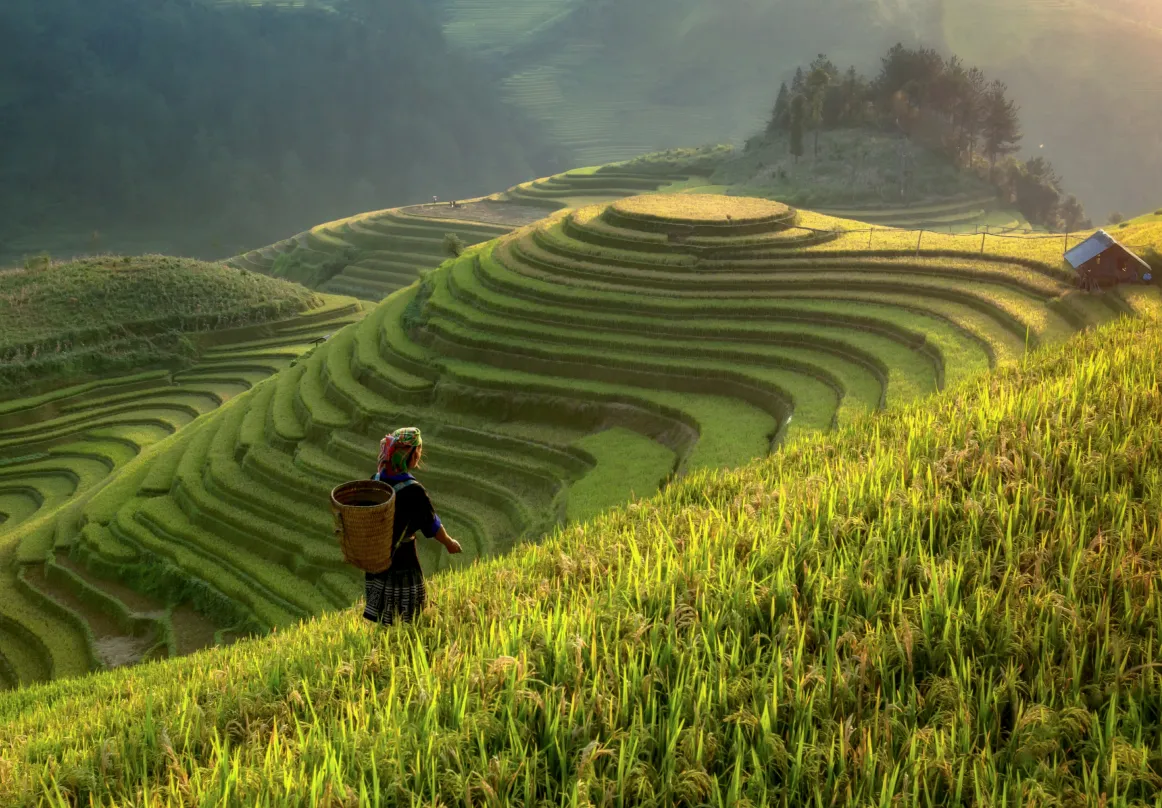 Vietnam Activities Image